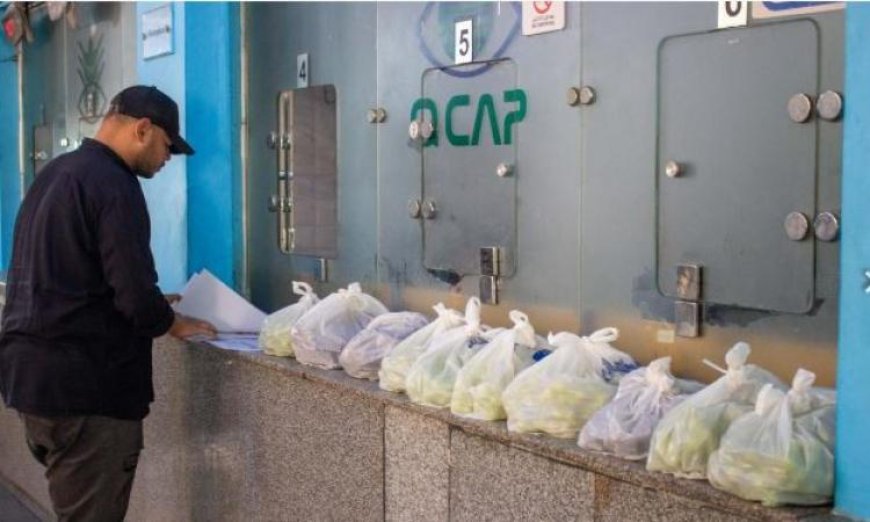 فحص 2500 عينة في عيد الأضحى من قبل وزارة الزراعة في معمل متبقيات المبيدات