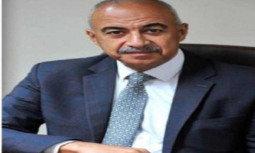 رئيس هيئة الطاقة المتجددة السابق يؤكد أن مرونة التشريعات كانت مفتاح تحول مصر نحو الاقتصاد الأخضر