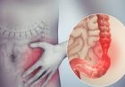 نموذج مخبري مبتكر يحاكي الأمعاء يكشف النقاب عن الأمراض المتعلقة بها