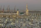 حجاج بيت الله يثنون على جودة الخدمات في المدينة المنورة بعد أداء مناسك الحج
