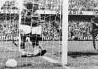 قميص بيليه التاريخي في نهائي كأس العالم 1958 متاح للبيع الآن