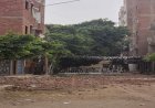 الوحدة المحلية بمغاغة تتخذ إجراءات لإزالة البرج الذي أدى إلى وفاة سيدة
