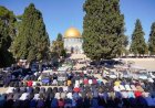 65 ألف فلسطيني يحضرون صلاة الجمعة في المسجد الأقصى المبارك