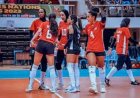 منتخب الفراعنة يستعد بكل قوة لبطولة أفريقيا للكرة الطائرة في كينيا
