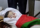 الخارجية الفلسطينية تدعو لمحاسبة الاحتلال بعد إعدام الرضيع سام أبو هيكل
