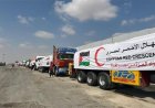 انطلاق الدفعة الـ209 من شاحنات المساعدات الإنسانية إلى قطاع غزة