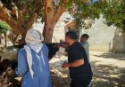تحصين 127 ألف رأس ماشية في المنيا ضمن الحملة الوطنية لمكافحة الحمى القلاعية والوادي المتصدع