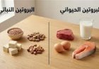 البروتين الحيواني مقابل البروتين النباتي اكتشف الخيار الأفضل لك