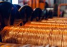 استقرار الدولار بالقرب من أعلى مستوياته في شهرين وسط انتظار بيانات التضخم الأمريكية