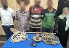 اعتقال أربعة أفراد بتهمة التنقيب غير القانوني عن الآثار في الجمالية