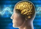دراسة جديدة تكشف طرق فعالة لحماية الدماغ من أعراض ألزهايمر المبكرة