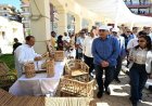 رئيس الوزراء يستعرض جمال الحديقة المتحفية في مدينة رشيد بالصورة