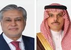 وزير خارجية السعودية وباكستان يناقشان أبرز التطورات الإقليمية عبر اتصال هاتفي