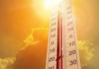 حالة الطقس اليوم ارتفاع درجات الحرارة نهارا واعتدال في المساء والعظمى بالقاهرة تصل إلى 34 درجة