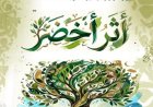 القومي للسينما يشارك بأفلام تسجيلية مميزة في مبادرة أثر أخضر لتعزيز الوعي البيئي