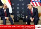 الرئيس السيسي يثني على جهود ترامب لتحقيق السلام والاستقرار في الشرق الأوسط