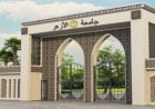 أربع جامعات مصرية تتألق ضمن أفضل 300 جامعة عالمية في تصنيف US News