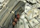 القبض على نصاب في الغربية يحتال على المستثمرين في البورصة