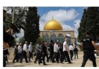 مستوطنون يقتحمون المسجد الأقصى تحت حماية قوات الاحتلال وسط توترات متزايدة