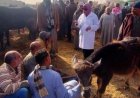 وزارة الزراعة تعزز نظام الإنذار المبكر لحماية الثروة الحيوانية والداجنة