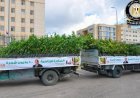 زراعة 200 ألف شجرة جديدة في المرحلة الرابعة لمبادرة 100 مليون شجرة