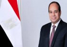 الرئيس السيسي يعبر عن دعم مصر لترشيح نبيل فهمي كأمين عام لجامعة الدول العربية