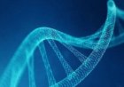 اختبار DNA مبتكر يكشف عن أمراض وراثية نادرة لا تستطيع التقنيات التقليدية رصدها