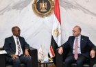 فريد يناقش مع وزير التجارة والصناعة في جنوب أفريقيا تعزيز الشراكة الاقتصادية وتوسيع آفاق التعاون