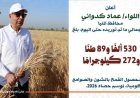 توريد 530 ألف طن من القمح في المنيا والمحافظ يؤكد ضرورة الحصول على تصريح لخروج المحصول