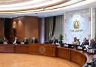 الحكومة توافق على تحويل هيئة التحكيم واختبارات القطن إلى هيئة عامة لخدمة الزراعة والمزارعين