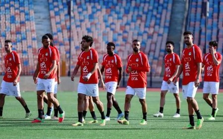 عودة منتخب الأحمر لمواجهة نيوزيلندا ومواجهة الأبيض لبلجيكا في مباريات مثيرة