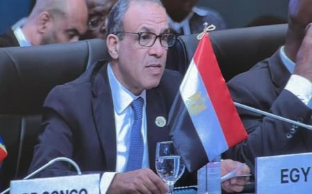 وزير الخارجية المصري يبرز استراتيجية تعزيز التعاون الاقتصادي وتحقيق التنمية المستدامة في إفريقيا