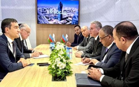 وزير البترول يلتقي بشركة سوكار الأذربيجانية لتعزيز شراكة استراتيجية طويلة الأمد