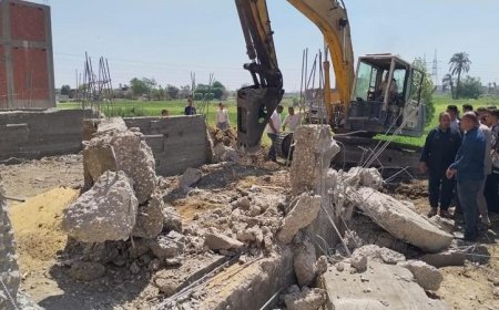 محافظ الجيزة يقود جهود إزالة التعديات على الأراضي الزراعية وأملاك الدولة بشكل فعال