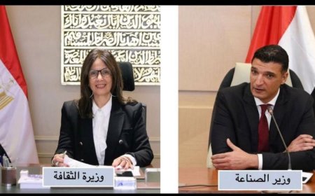 اجتماع مرتقب بين وزيري الثقافة والصناعة لمناقشة مستقبل السينما وتحدياتها