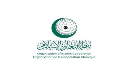 منظمة التعاون الإسلامي تندد بالعدوان الإسرائيلي على لبنان وتدعو إلى إحلال السلام