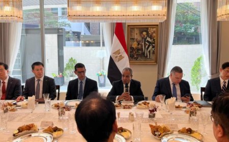 وزير الخارجية يلتقي ممثلي الشركات الكورية الكبرى لتعزيز الاستثمارات في مصر