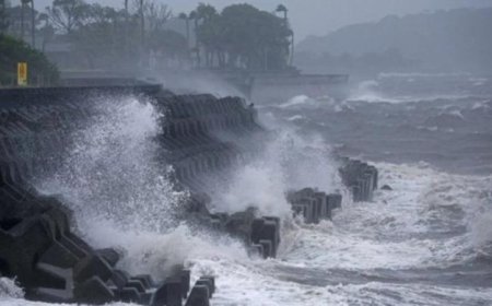 عاصفة استوائية جانجمي تتسبب في إصابات وخسائر في اليابان