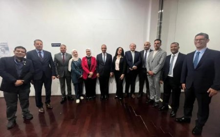 لقاء وزير الخارجية مع الجالية المصرية في كوريا الجنوبية لتعزيز العلاقات الثقافية والاجتماعية