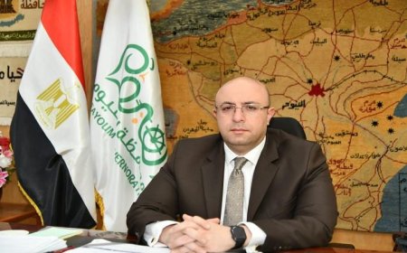 نواصل المرحلة الثانية من الموجة 29 لإزالة التعديات على الأراضي في الفيوم