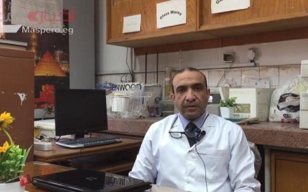 أستاذ في القومي للبحوث يكشف عن المعايير الصحية الهامة لاستخدام زيوت التحمير فيديو