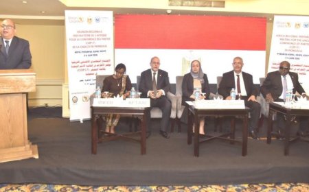 مصر تستضيف الاجتماع التحضيري الإفريقي لمكافحة التصحر قبيل قمة COP17
