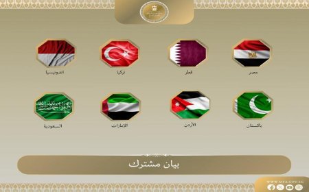 وزراء خارجية مصر ودول إسلامية يتحدون ضد اقتحامات المستوطنين للمسجد الأقصى