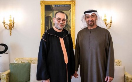 العاهل المغربي يناقش مع رئيس الإمارات أهم قضايا الشرق الأوسط