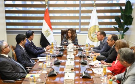 وزيرة التنمية المحلية تعقد اجتماعًا مثمرًا مع الأمين العام لمنظمة المدن العربية لتعزيز التعاون المشترك