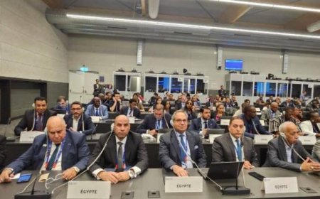 وزير العمل المصري يقود وفد البلاد في جلسة اعتماد فلسطين بمنظمة العمل الدولية