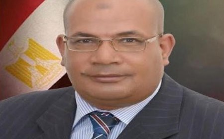 تكليف عبدالعزيز بلال لقيادة الهيئة القومية للاستشعار من البعد وفقاً لتصريحات قنصوة