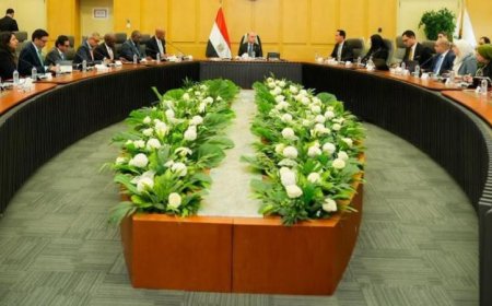 وزير الاستثمار يناقش مع مؤسسة التمويل الدولية تعزيز بيئة الأعمال ودفع التحول الرقمي
