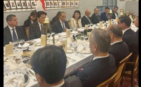 وزير الخارجية يجرى محادثات هامة مع وزراء ومسؤولين رفيعي المستوى في اليابان