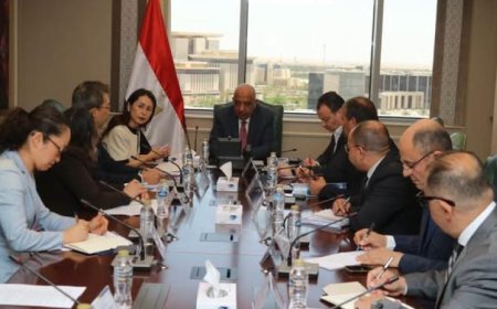 وزير الكهرباء يناقش مع الوكالة اليابانية للتعاون الدولي JICA سبل تعزيز التعاون المشترك